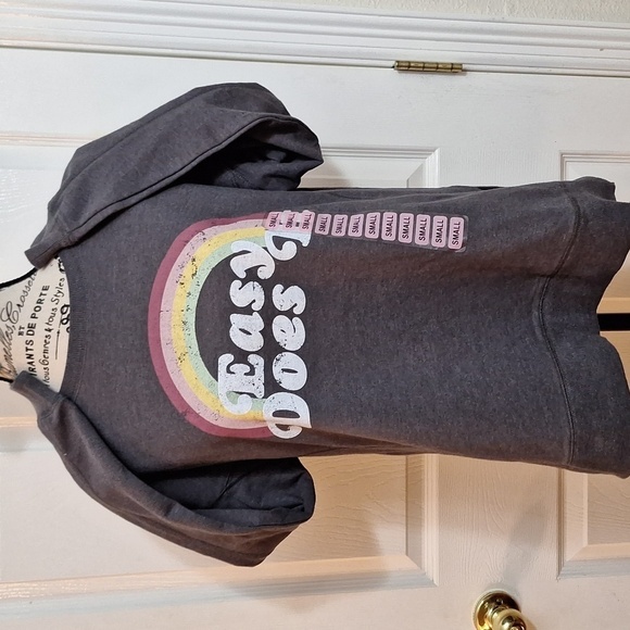 NWT Wild Fox Pull Over Oversized Sweatshirt Size Small Logo Easy Does It - Picture 2 of 8